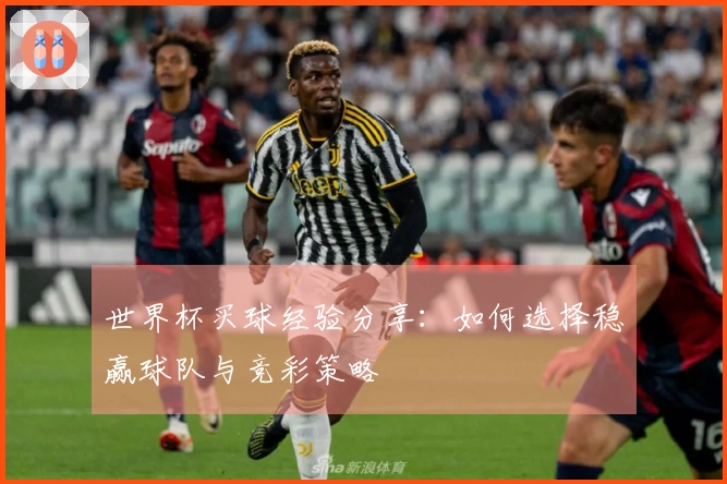 世界杯买球经验分享：如何选择稳赢球队与竞彩策略