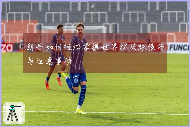 新手如何轻松掌握世界杯买球技巧与注意事项