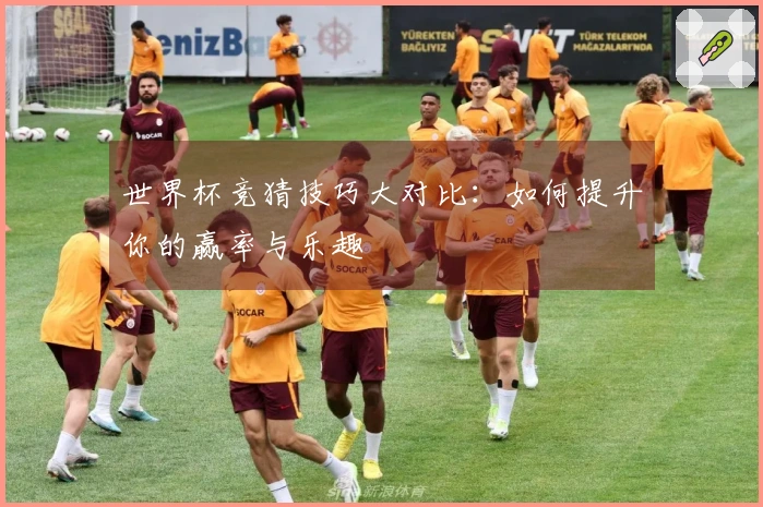 世界杯竞猜技巧大对比：如何提升你的赢率与乐趣