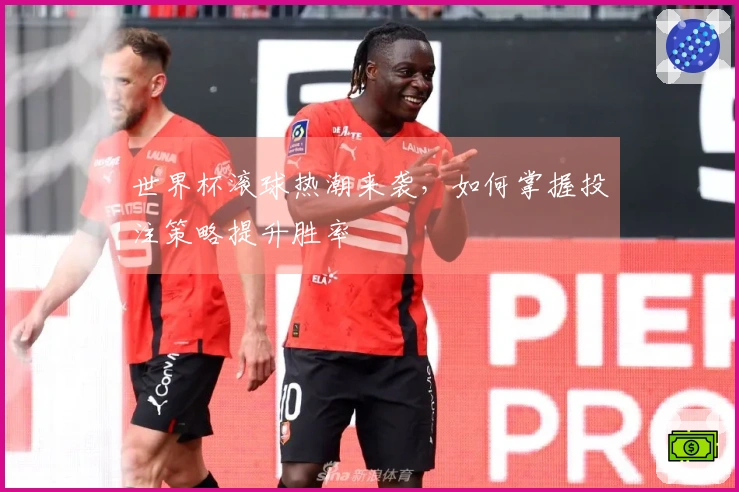 世界杯滚球热潮来袭，如何掌握投注策略提升胜率