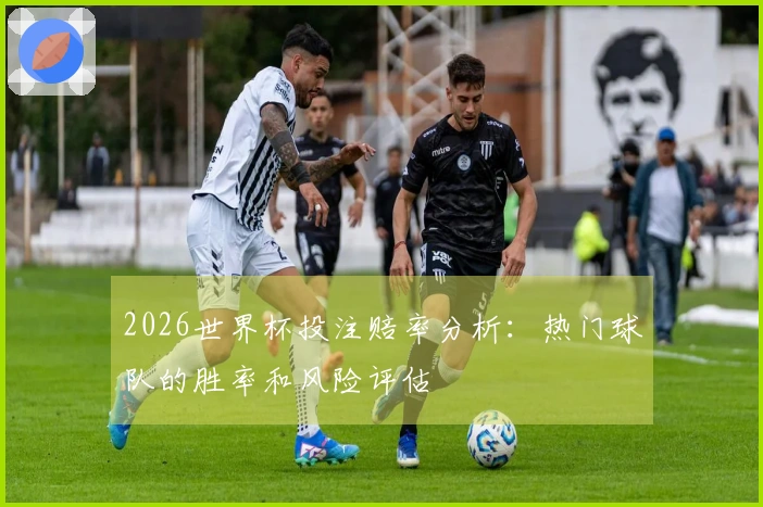 2026世界杯投注赔率分析：热门球队的胜率和风险评估