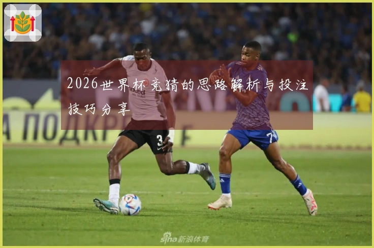 2026世界杯竞猜的思路解析与投注技巧分享