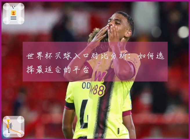 世界杯买球入口对比分析：如何选择最适合的平台