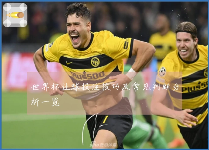 世界杯让球投注技巧及常见判断分析一览