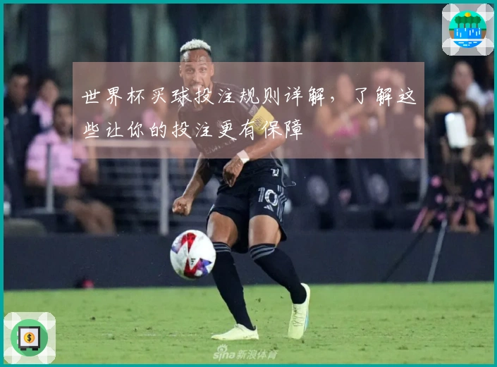 世界杯买球投注规则详解，了解这些让你的投注更有保障