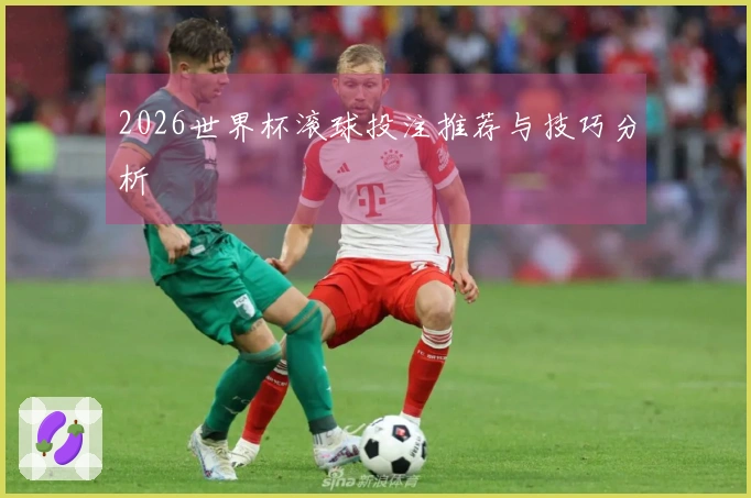 2026世界杯滚球投注推荐与技巧分析