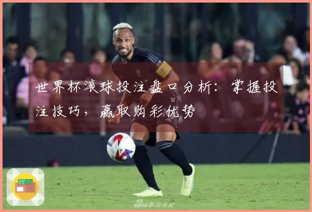 世界杯滚球投注盘口分析：掌握投注技巧，赢取购彩优势