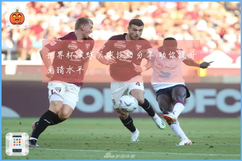 世界杯滚球买球技巧分享 助你提升竞猜水平