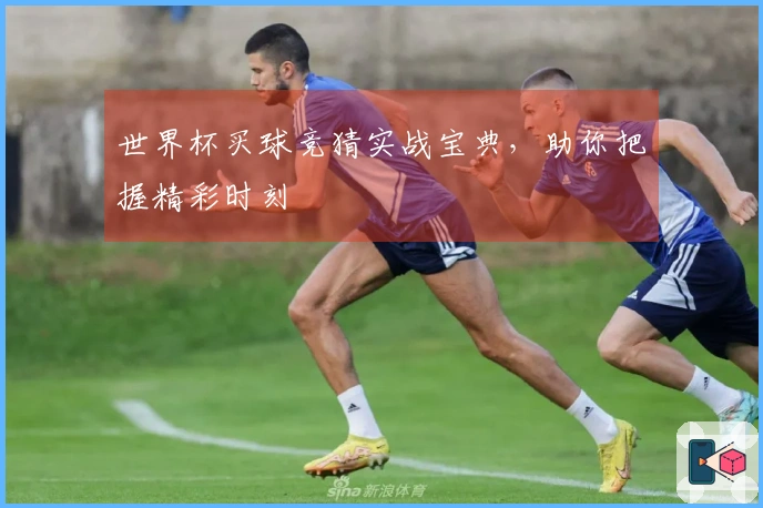 世界杯买球竞猜实战宝典，助你把握精彩时刻