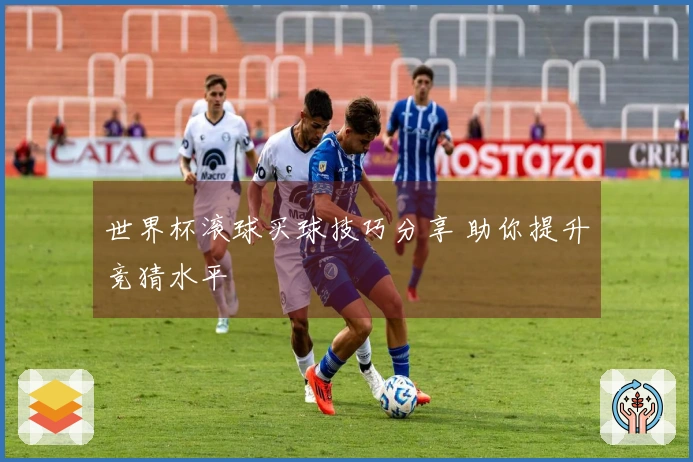 世界杯滚球买球技巧分享 助你提升竞猜水平