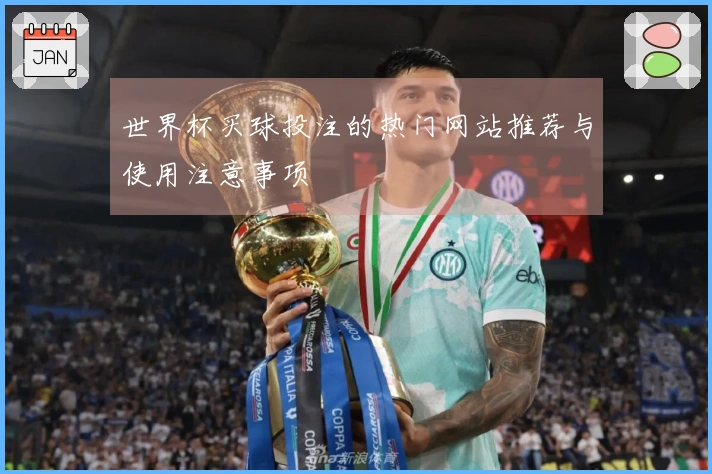 世界杯买球投注的热门网站推荐与使用注意事项