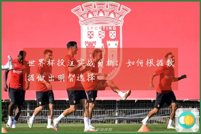 世界杯投注实战分析：如何根据数据做出明智选择