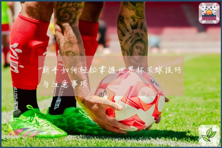 新手如何轻松掌握世界杯买球技巧与注意事项