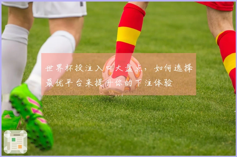 世界杯投注入口大盘点，如何选择最优平台来提升你的下注体验