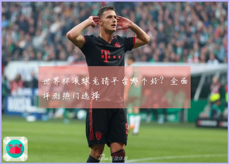 世界杯滚球竞猜平台哪个好？全面评测热门选择