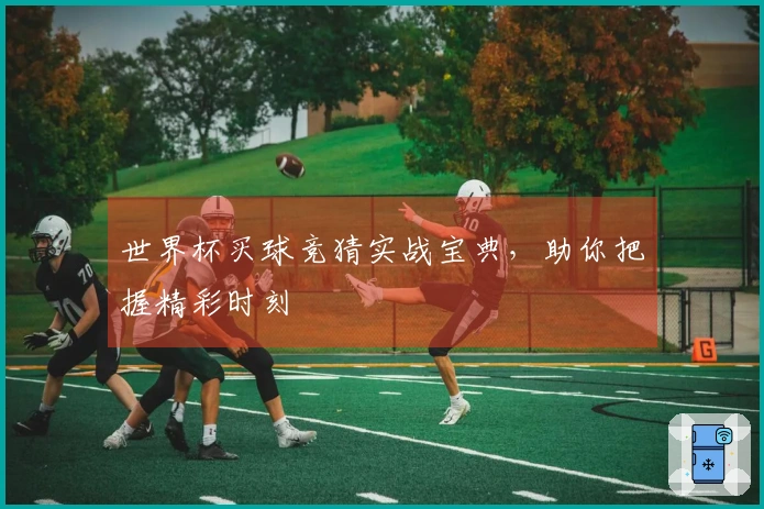 世界杯买球竞猜实战宝典，助你把握精彩时刻