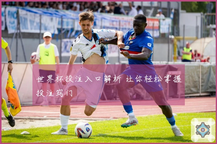 世界杯投注入口解析 让你轻松掌握投注窍门