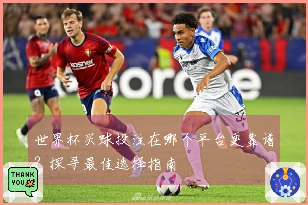 世界杯买球投注在哪个平台更靠谱?探寻最佳选择指南