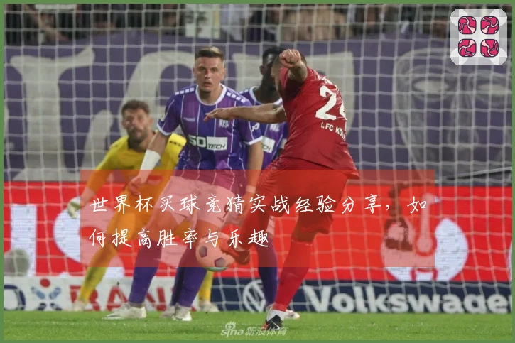 世界杯买球竞猜实战经验分享，如何提高胜率与乐趣