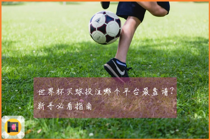 世界杯买球投注哪个平台最靠谱？新手必看指南