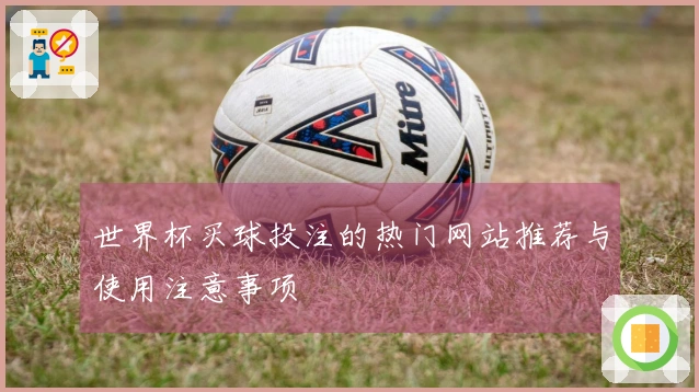 世界杯买球投注的热门网站推荐与使用注意事项