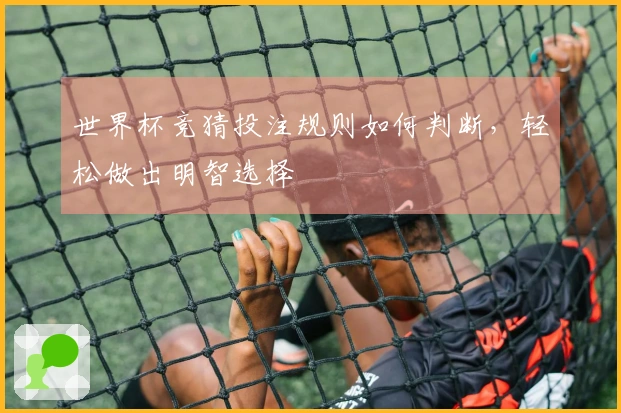 世界杯竞猜投注规则如何判断，轻松做出明智选择