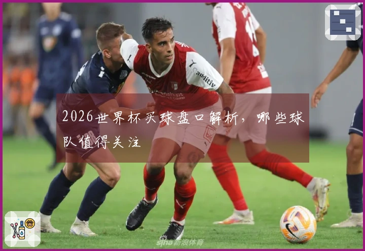2026世界杯买球盘口解析，哪些球队值得关注