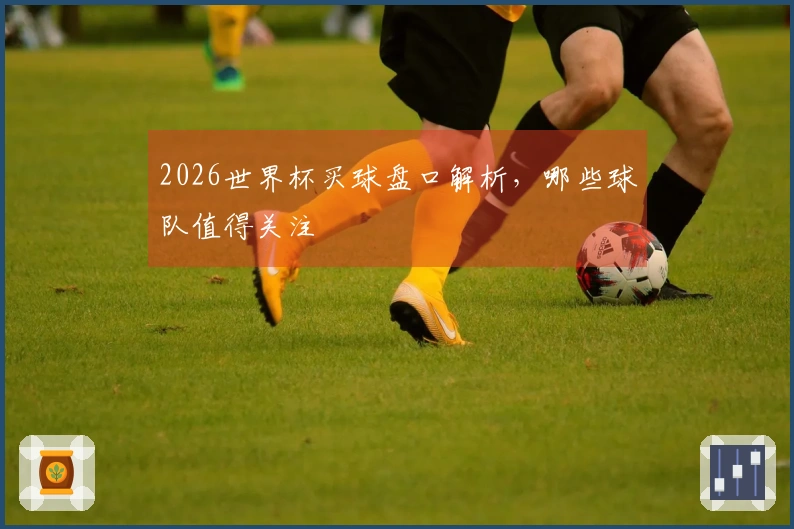 2026世界杯买球盘口解析，哪些球队值得关注
