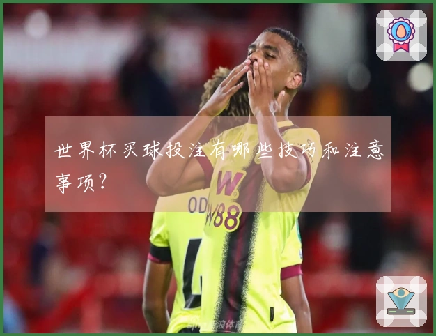 世界杯买球投注有哪些技巧和注意事项？