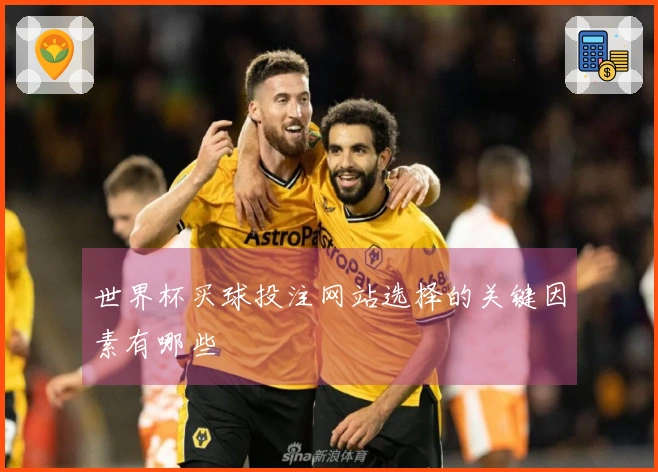 世界杯买球投注网站选择的关键因素有哪些